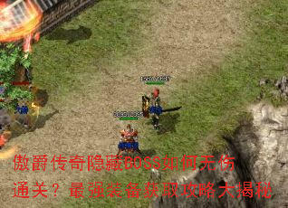 ������������BOSS�������ͨ�أ���ǿװ����ȡ���Դ����