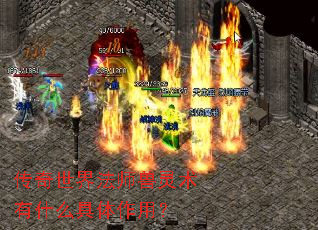 �������編ʦ��������ʲô�������ã�