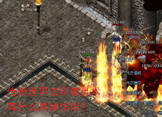 �������編ʦ��������ʲô�������ã�