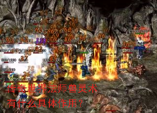 �������編ʦ��������ʲô�������ã�