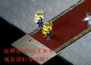 ���ǰ��185����ʥ���ȡ43��ѫ�£�