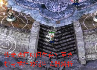 ���淨ʦ������棿��������ָ��������������