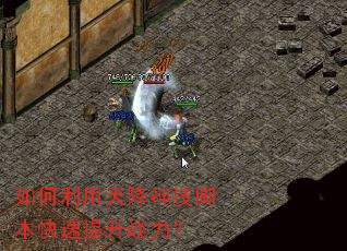 ��������콵�񼼽ű���������ս����