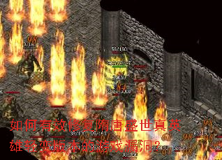 �����Ч�޸�����ʢ����Ӣ�����汾����Ϸ©����