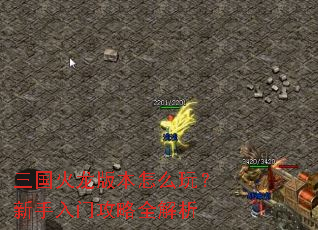 ���������汾��ô�棿�������Ź���ȫ����