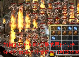 �������HEROM2����ľֲ���������Ч����������˽����Ϸ���飿