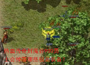 ��Ѫ�����ħ��900��ʿ�������Щ��Ʒװ����