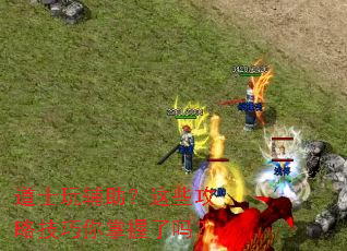 ��ʿ�渨������Щ���Լ�������������