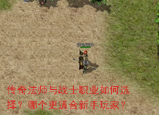 ���淨ʦ��սʿְҵ���ѡ���ĸ����ʺ�������ң�