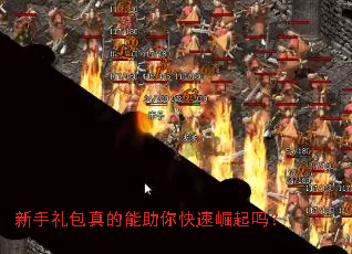 �������������������������