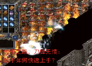 ����֮·���������飺������ο������֣�