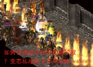 ��ο�������ս���ư�ɳ�ǣ���̬˽�����ֿ��ֹ���