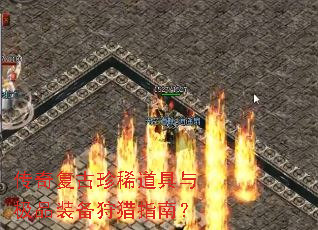 ���渴����ϡ�����뼫Ʒװ������ָ�ϣ�