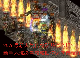 2026������������˽����ô�棿������ӱؿ����������������۷�