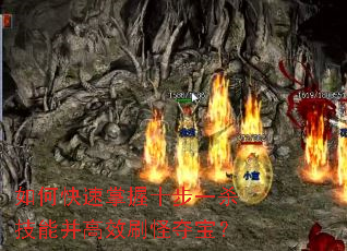 ��ο�������ʮ��һɱ���ܲ���Чˢ�ֶᱦ��