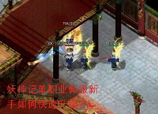 ����ǵ�ְҵ�·�������ο���������