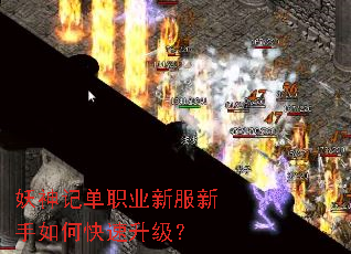 ����ǵ�ְҵ�·�������ο���������