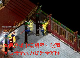 ���ͻ���м�ƿ�������긴�Ŵ���ս������ȫ����