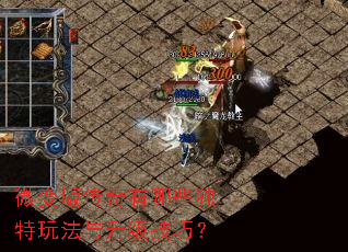 ΢��洫������Щ�����淨���������ɣ�
