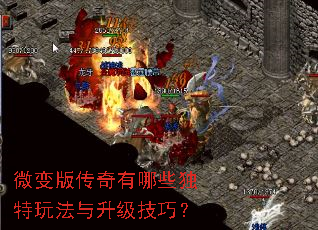 ΢��洫������Щ�����淨���������ɣ�