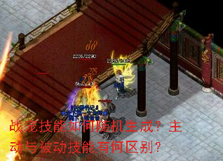 ս�輼�����������ɣ������뱻�������к�����
