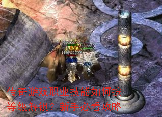 ������Ϸְҵ������ΰ��ȼ����������ֱؿ�����
