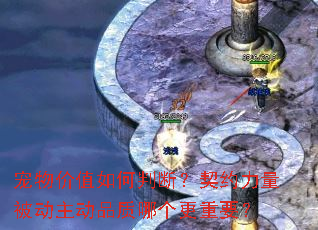 �����ֵ����жϣ���Լ������������Ʒ���ĸ�����Ҫ��