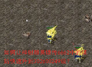 ����������Ӣ�۴�6662�е����ÿ�������302600249����