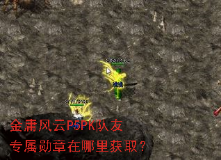 ��ӹ����P5PK����ר��ѫ���������ȡ��