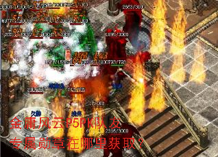 ��ӹ����P5PK����ר��ѫ���������ȡ��