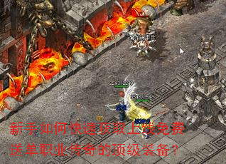 ������ο��ٻ�ȡ��������͵�ְҵ����Ķ���װ����