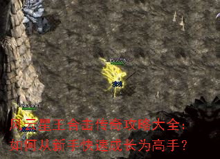 ���������ϻ����湥�Դ�ȫ����δ����ֿ��ٳɳ�Ϊ���֣�