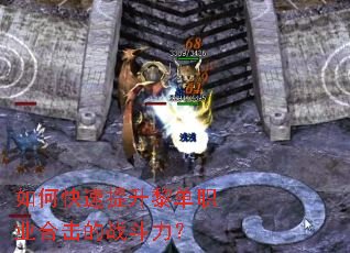 ��ο��������赥ְҵ�ϻ���ս������