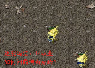 ��¹�귨��14ְҵ����ʶ������۷壿
