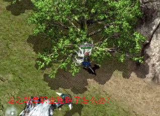 ��֮�ٵ�ְҵ��·����ô�죿