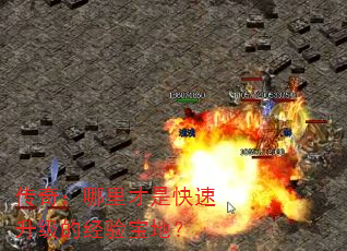 ���棺������ǿ��������ľ��鱦�أ�