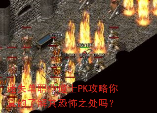 ��ʧ��ְҵ��ʿPK����������˽���ֲ�֮����