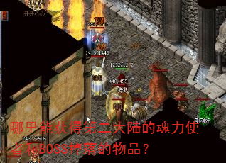哪里能获得第二大陆的魂力使者和BOSS掉落的物品? 哪里能获得第二大陆的魂力使者和BOSS掉落的物品?
