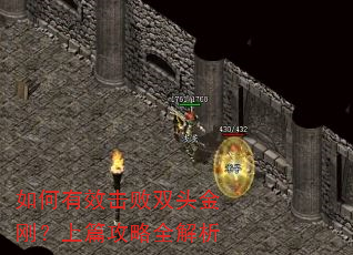 如何有效击败双头金刚?上篇攻略全解析 如何有效击败双头金刚?上篇攻略全解析