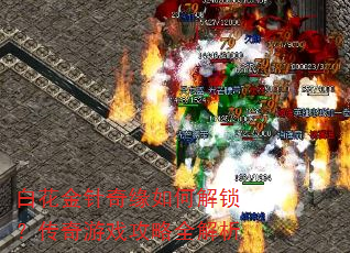 白花金针奇缘如何解锁?传奇游戏攻略全解析 白花金针奇缘如何解锁?传奇游戏攻略全解析