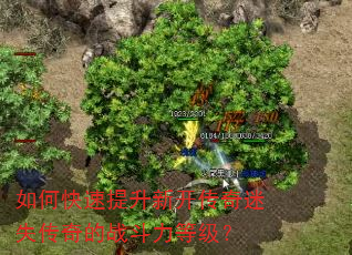 如何快速提升新开传奇迷失传奇的战斗力等级? 如何快速提升新开传奇迷失传奇的战斗力等级?