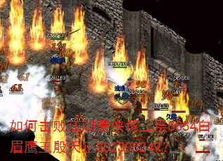 如何击败江湖豪侠塚三层5854白眉鹰王殷天正302300249? 如何击败江湖豪侠塚三层5854白眉鹰王殷天正302300249?