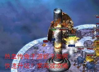 热血传奇手游新手如何快速升级?求高效攻略 热血传奇手游新手如何快速升级?求高效攻略