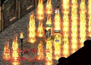 道士骨入门和全关到底有什么区别? 道士骨入门和全关到底有什么区别?