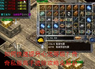 如何快速提升心法等级?传奇私服高手进阶攻略全解析 如何快速提升心法等级?传奇私服高手进阶攻略全解析