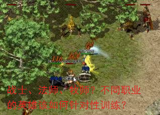 战士、法师、牧师?不同职业的英雄该如何针对性训练? 战士、法师、牧师?不同职业的英雄该如何针对性训练?