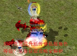 如何快速提升新传奇私服角色等级?装备获取攻略全解析 如何快速提升新传奇私服角色等级?装备获取攻略全解析