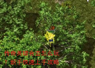 传奇英雄合击怎么玩?新手快速上手攻略 传奇英雄合击怎么玩?新手快速上手攻略