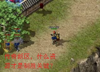 传奇新区,什么资源才是制胜关键? 传奇新区,什么资源才是制胜关键?