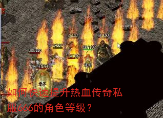 如何快速提升热血传奇私服666的角色等级? 如何快速提升热血传奇私服666的角色等级?